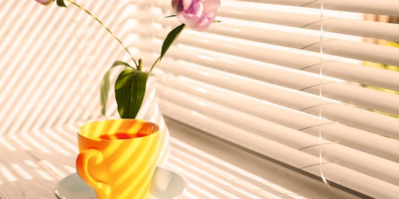 Cómo elegir persianas para tus ventanas